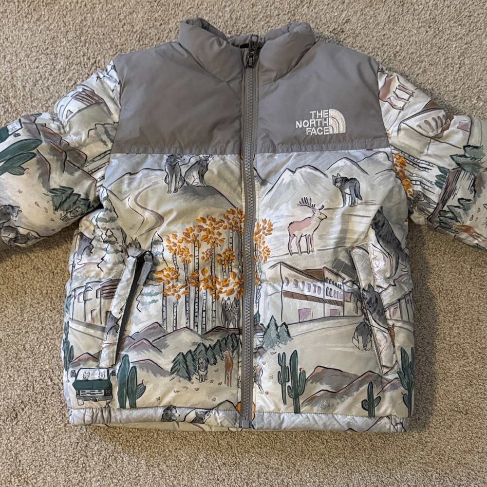 The North Face 96 Nuptse Winter Puffer 🐺